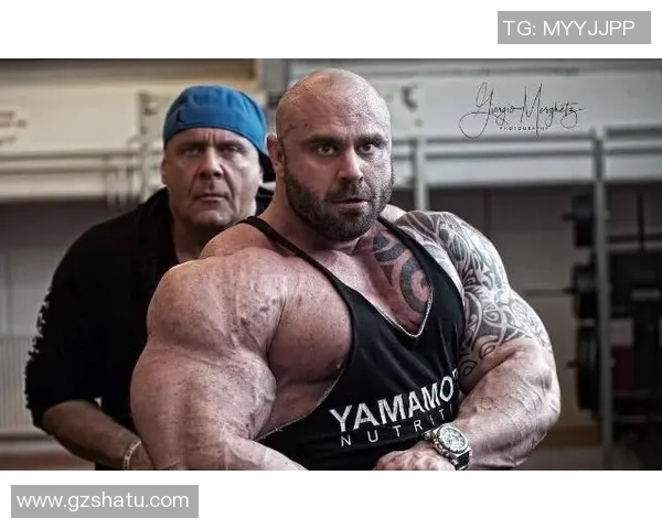 足球明星巨兽盘点那些在赛场上如同猛兽般的传奇球员