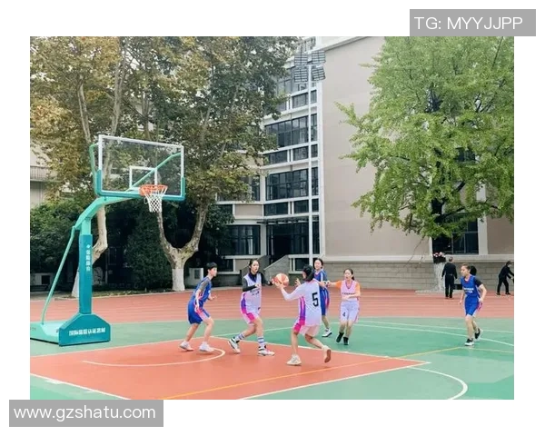 南京篮球队荣登全国篮球比赛经验排行榜第九名展现实力与潜力