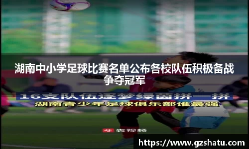 湖南中小学足球比赛名单公布各校队伍积极备战争夺冠军