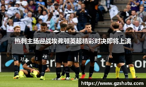 热刺主场迎战埃弗顿英超精彩对决即将上演